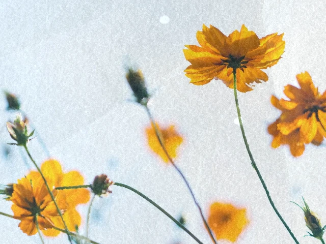 Preview of paper texture